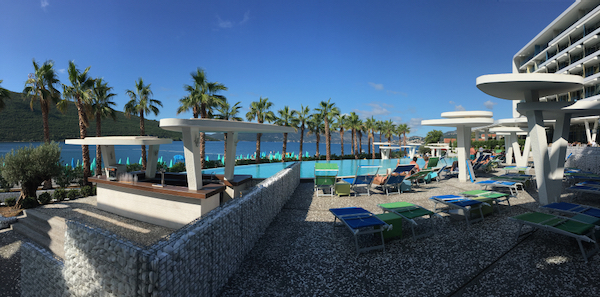 This is a picture of a pool with palm trees and the sea in the background.